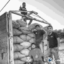 La tribu 3.png