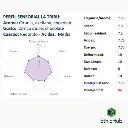 Rueda Perfil La tribu .webp