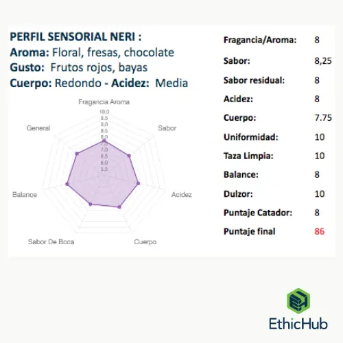 Rueda Perfil Neri_Natural .webp