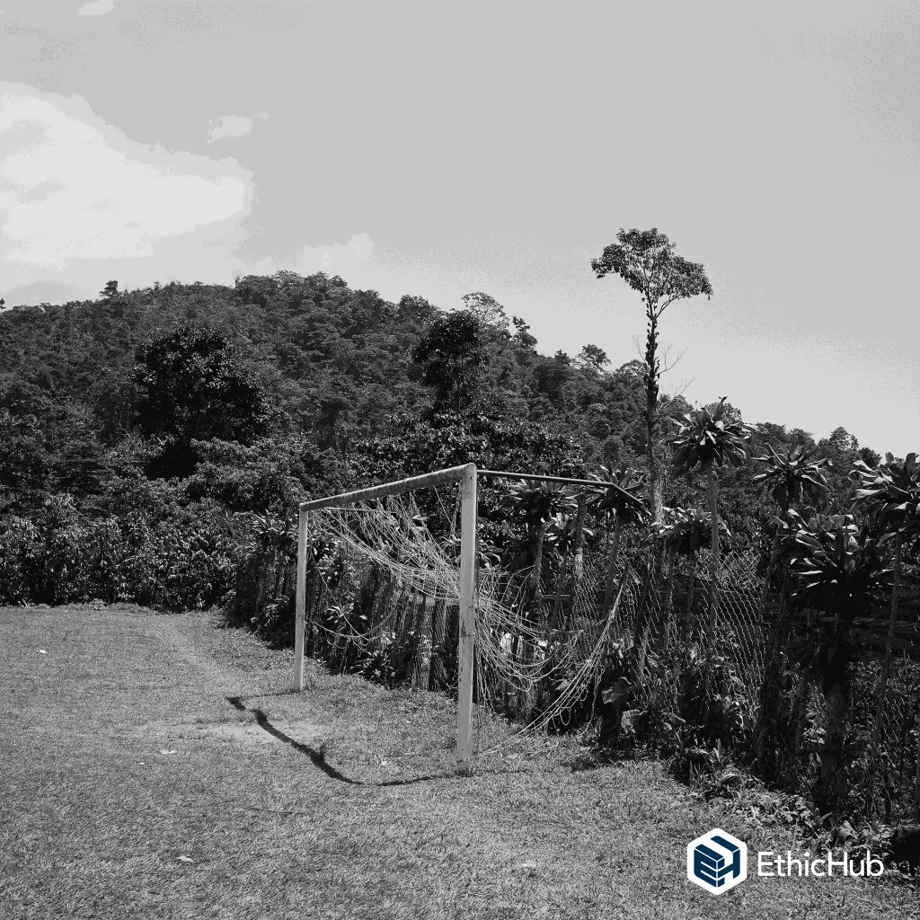 Juventino 5 (3).webp