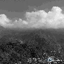 Gabino 7.webp