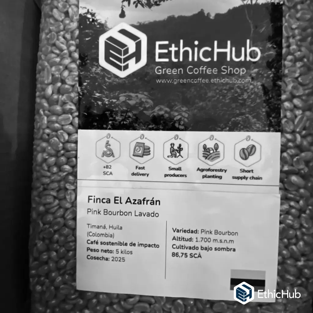 Paquete Azafran2.webp