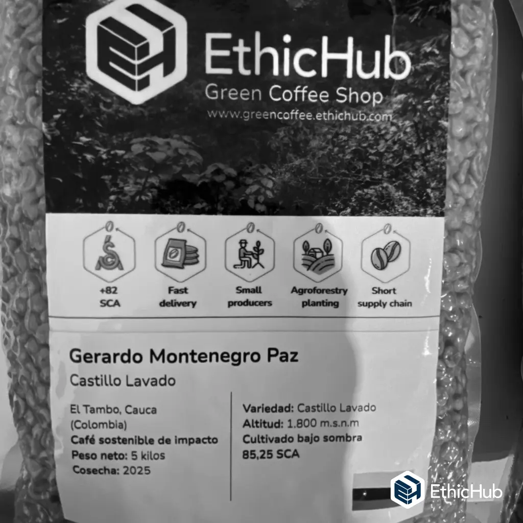 Paquete Gerardo.webp