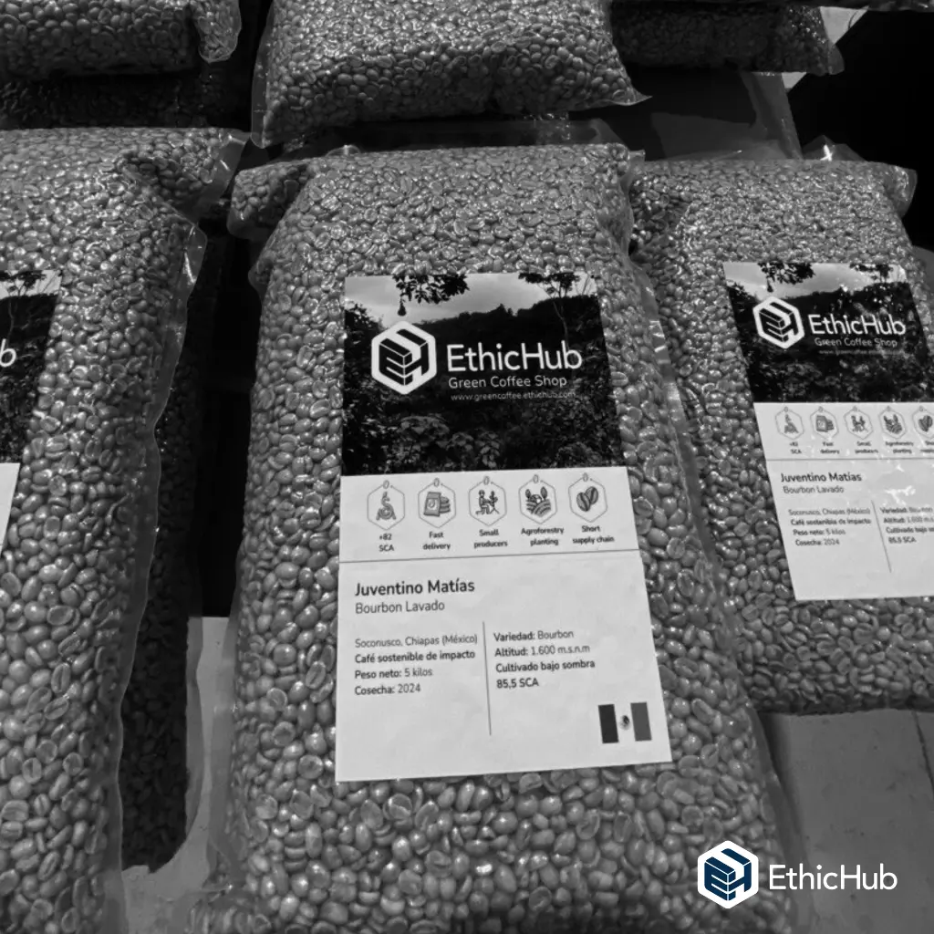 Paquete Jueventino.webp