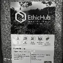 Fazenda Um - Mundo Novo 1.webp