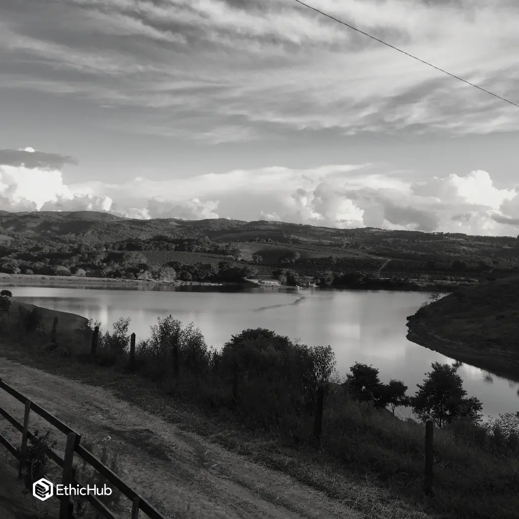 Fazenda Um - wush wush 3.webp