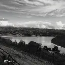 Fazenda Um - wush wush 3.webp