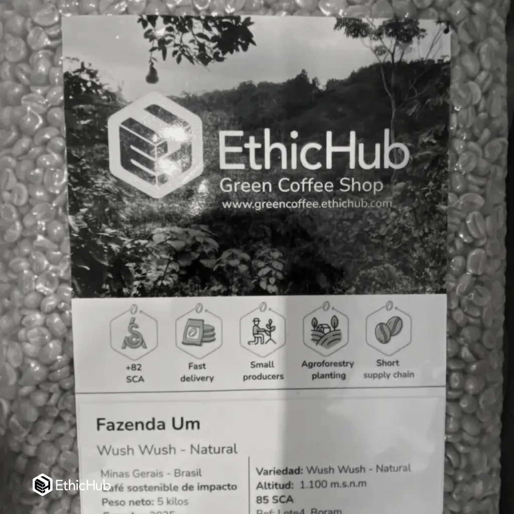 Fazenda Um - Wush wush 1.webp