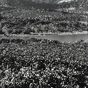 Fazenda Um - Mundo Novo 2.webp