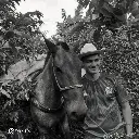 Café verde Duvan Alejandro Quisaboni / Huila (Colombia) – Gesha Honey – 87 SCA