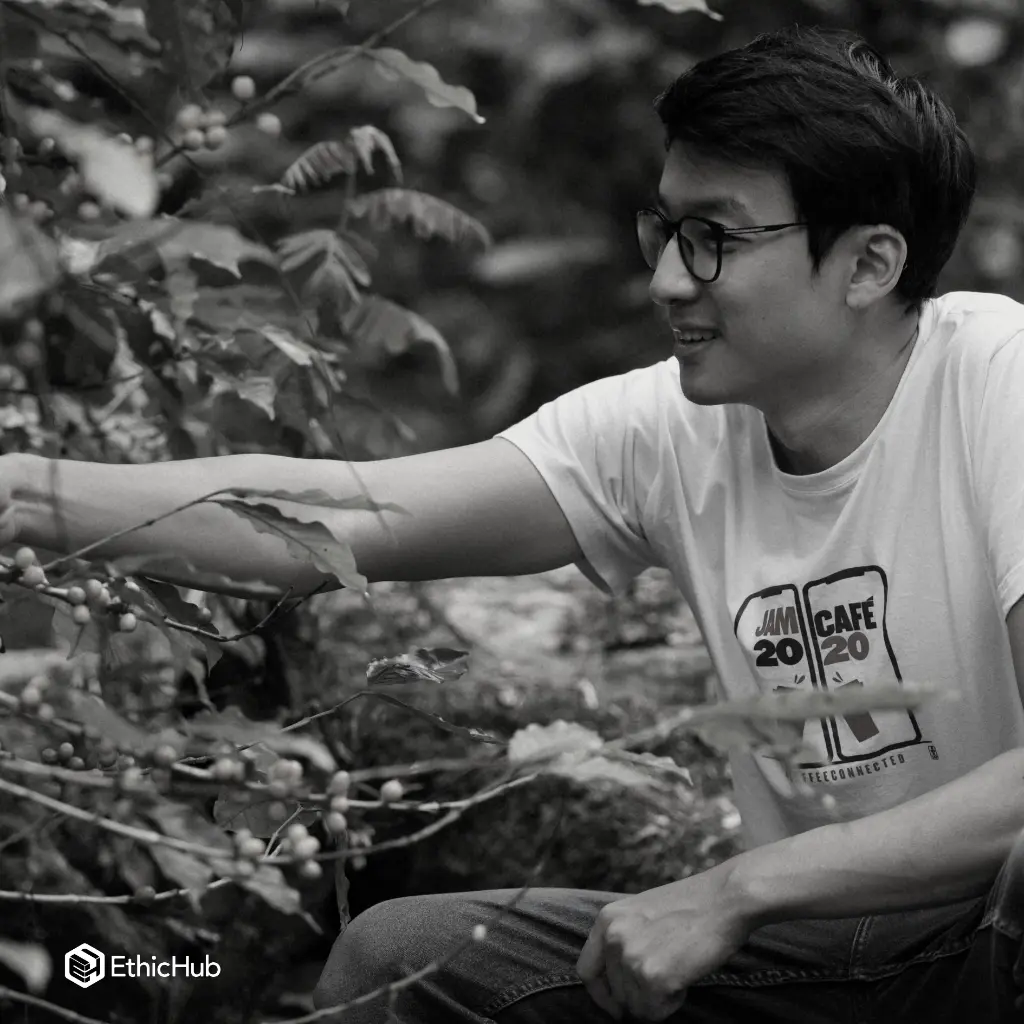 Fazenda Um – Wush Wush – Natural – 85 SCA