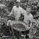 Fazenda Um / Minas Gerais (Brazil) – Pink Bourbon Dark Room Natural – 87 SCA