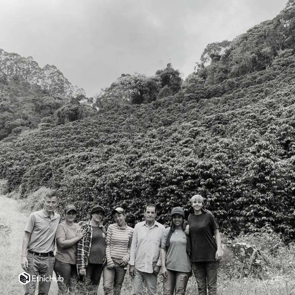 Fazenda Um – Bourbon Amarillo – Natural (Flor de Azahar) – 87 SCA