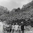 Fazenda Um – Yellow Bourbon – Natural (Orange Blossom) – 87 SCA