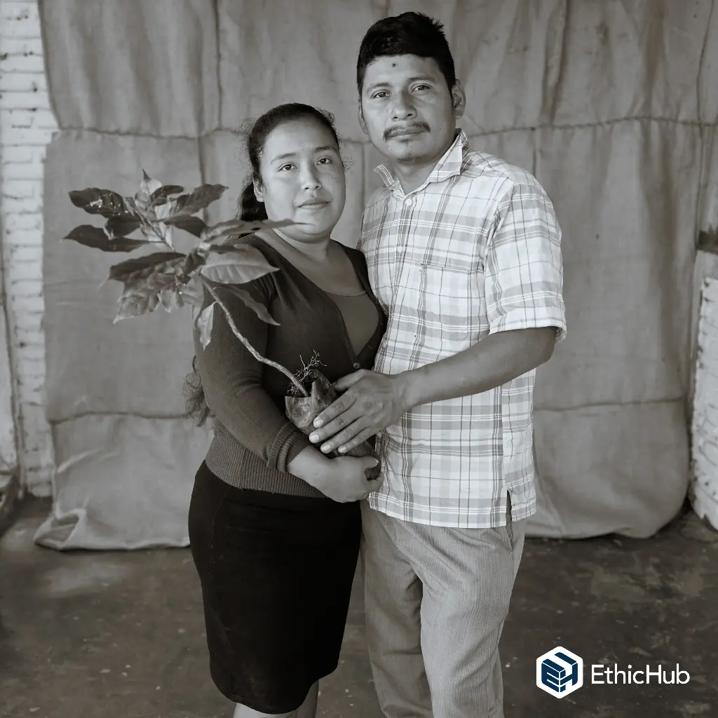 Juventino Matías Ortíz – Bourbon – Lavado – 85,5 SCA 