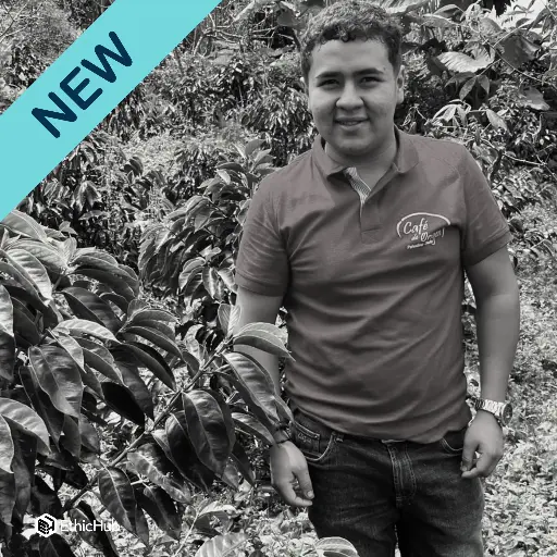 Finca Los Cedros Green Coffee / Huila (Colombia) – Washed Pink Bourbon – 86 SCA